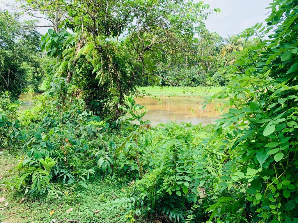 Land For sale In Ahangama