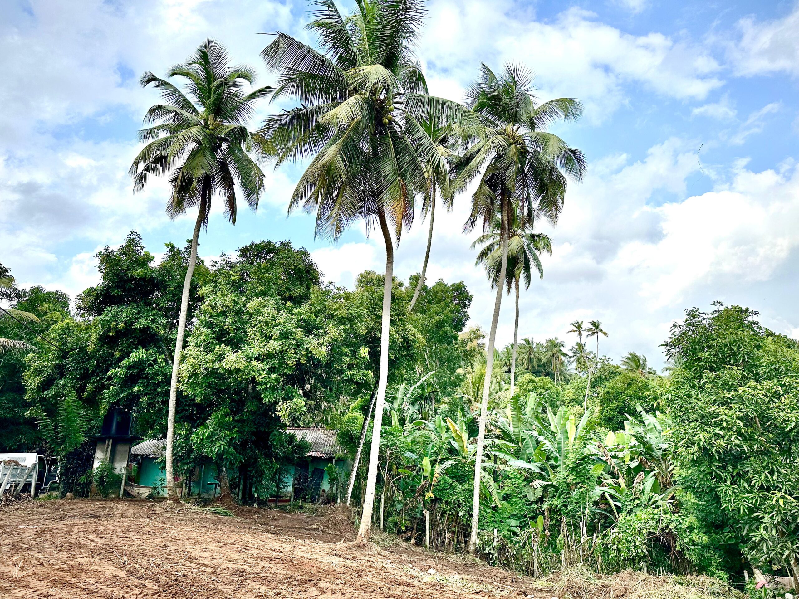 Land for Sale Pinnawala