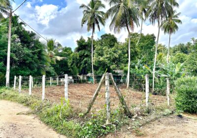 Land for Sale Pinnawala