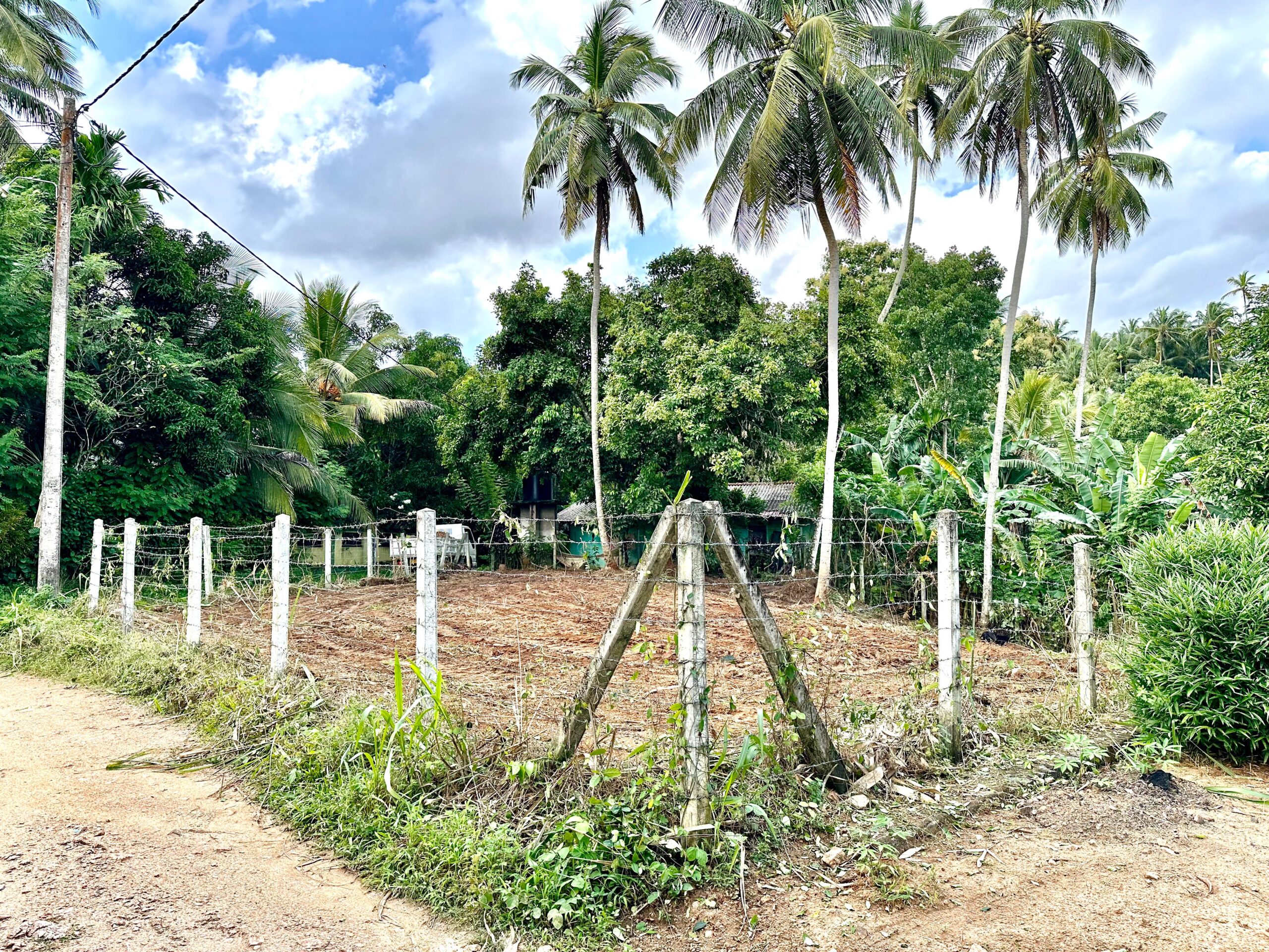 Land for Sale Pinnawala
