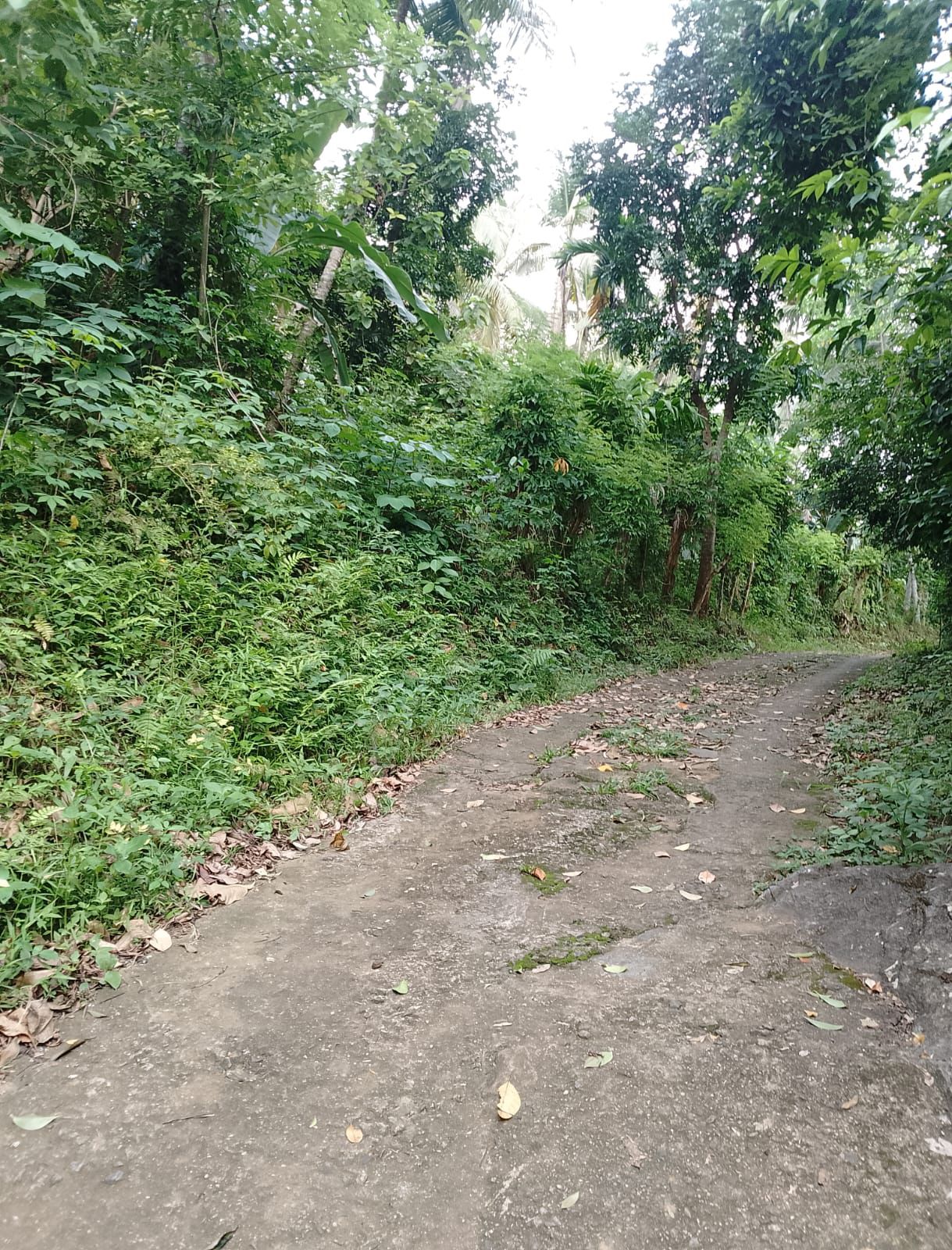 Land For Sale In Polgahawela