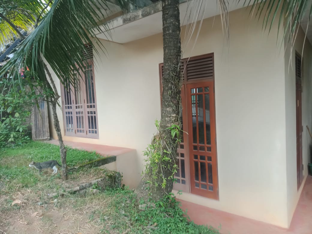 අඩක් සෑදූ දෙමහල් නිවසක් විකිනීමට Rajagiriya