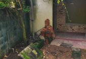 Land for Sale  Ambuldeniya, Nugegoda