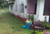 Land With House For Sale In Kelaniya