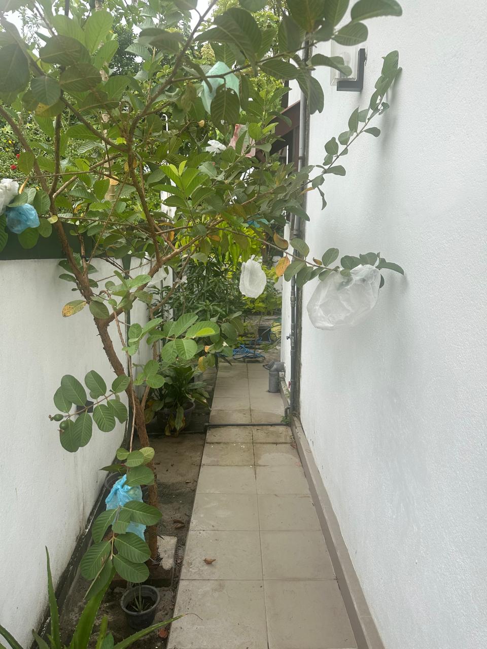 House for sale In kesbewa