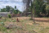 40 Perch Land Close to The City Anuradhapura