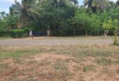 40 Perch Land Close to The City Anuradhapura