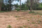 40 Perch Land Close to The City Anuradhapura