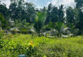 බන්ඩාරගම පදින්චියටත් ආයෝජනයටත් හොදම පොල් ඉඩමක්..