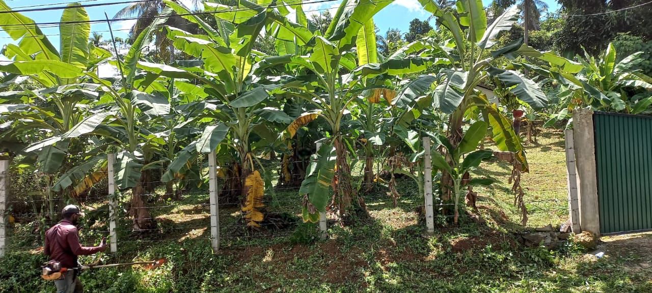 Land For Sale In Kadawatha