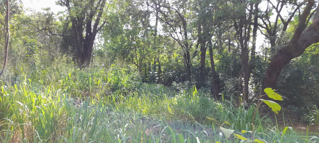 Land For Sale In Inamaluwa