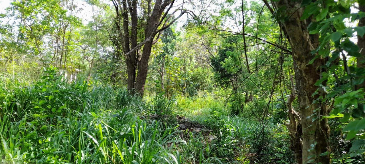 Land For Sale In Inamaluwa