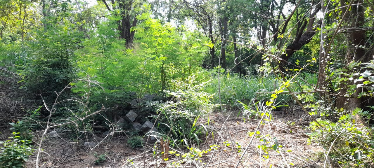 Land For Sale In Inamaluwa