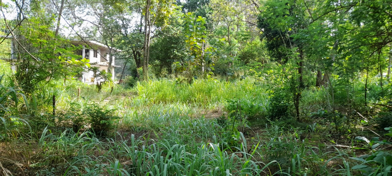 Land For Sale In Inamaluwa