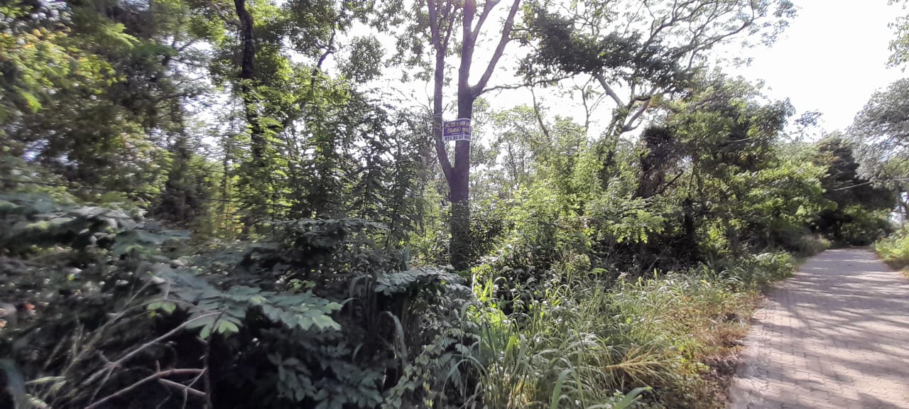 Land For Sale In Inamaluwa