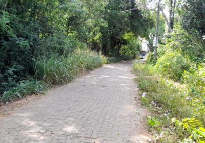 Land For Sale In Inamaluwa