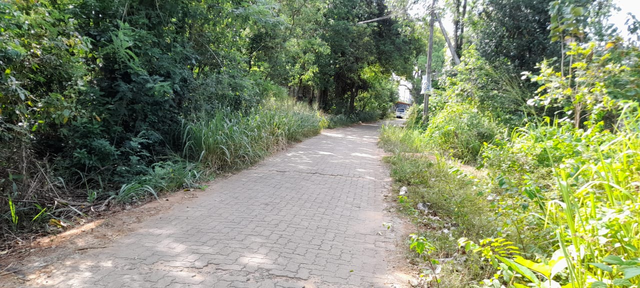 Land For Sale In Inamaluwa