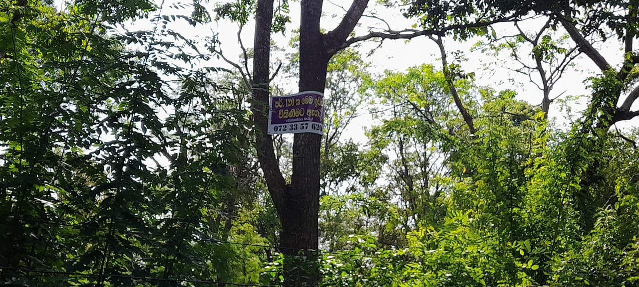 Land For Sale In Inamaluwa