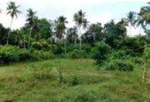 Land For Sale In Kiribathgoda Makola