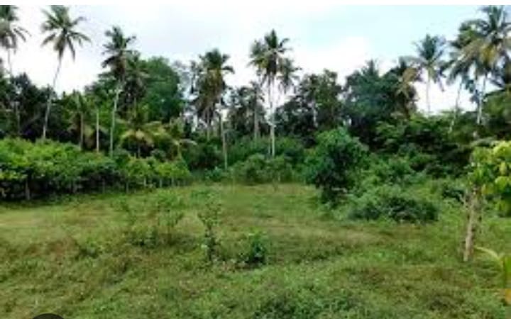 Land For Sale In Kiribathgoda Makola