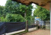 house for sale වැලිකන්න