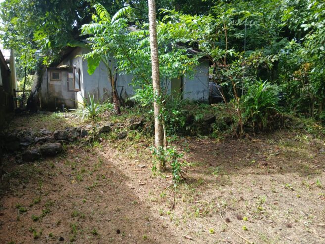 house for sale වැලිකන්න