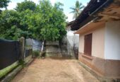 house for sale වැලිකන්න