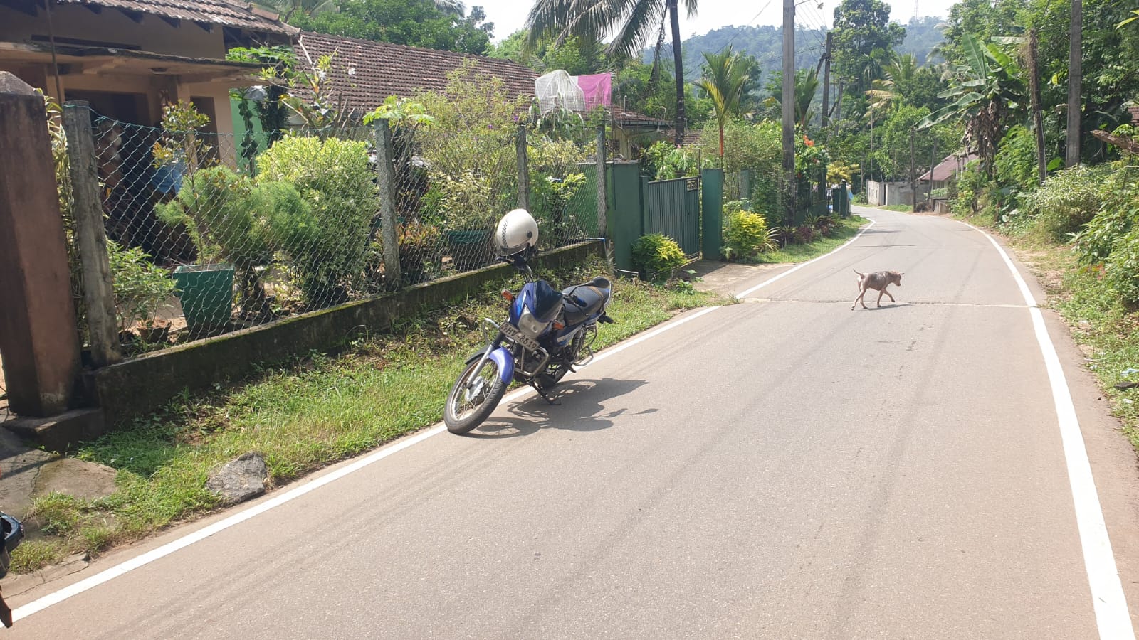 house for sale වැලිකන්න