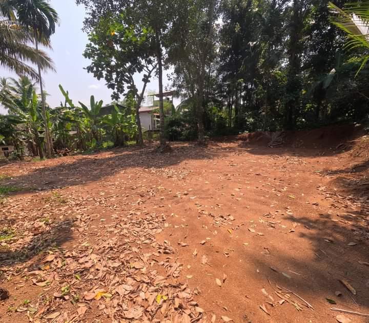 Land for Sale Nittabuwa