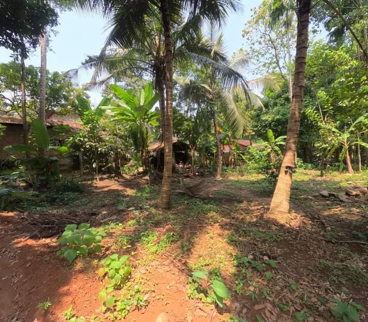 Land for Sale Nittabuwa