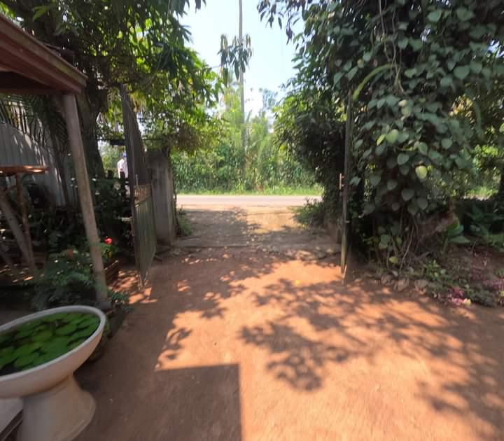 Land for Sale Nittabuwa