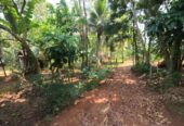 Land for Sale Nittabuwa