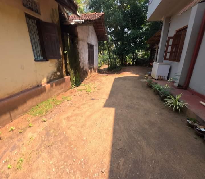 Land for Sale Nittabuwa