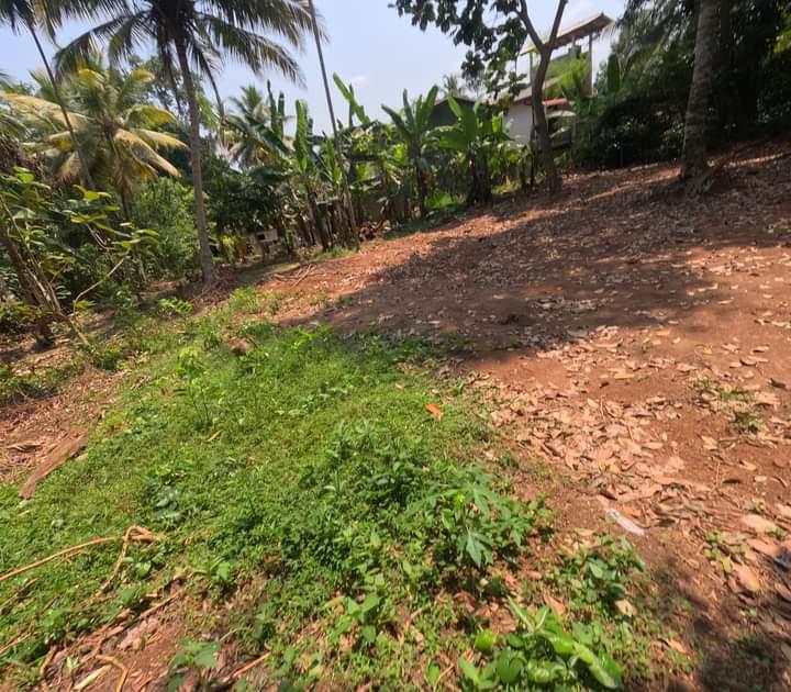 Land for Sale Nittabuwa