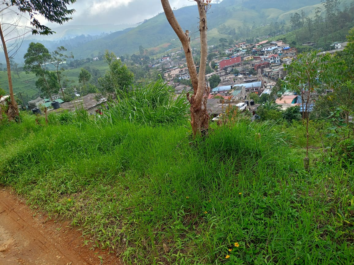 Commercial and residential land for sale in Kotagala