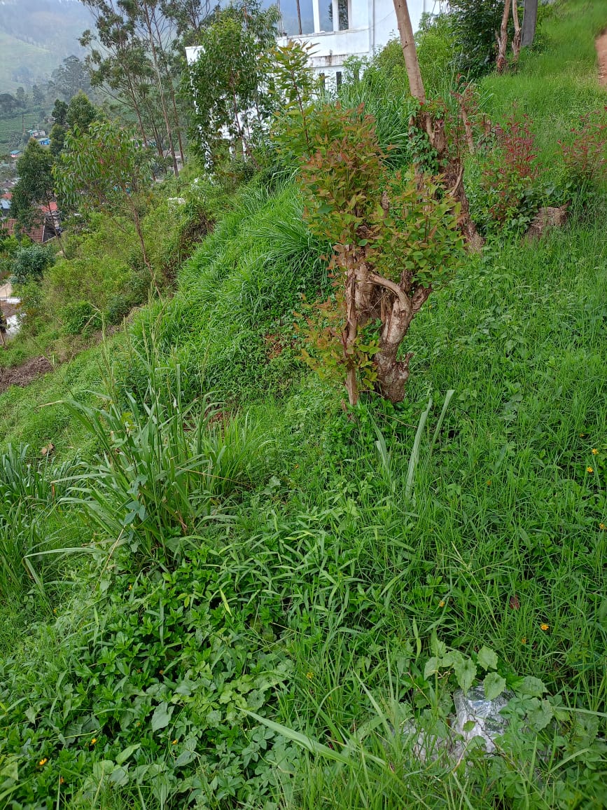 Commercial and residential land for sale in Kotagala