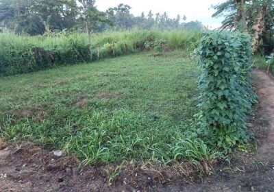 පොතුහැර නගරයෙන් අගනා ඉඩමක්