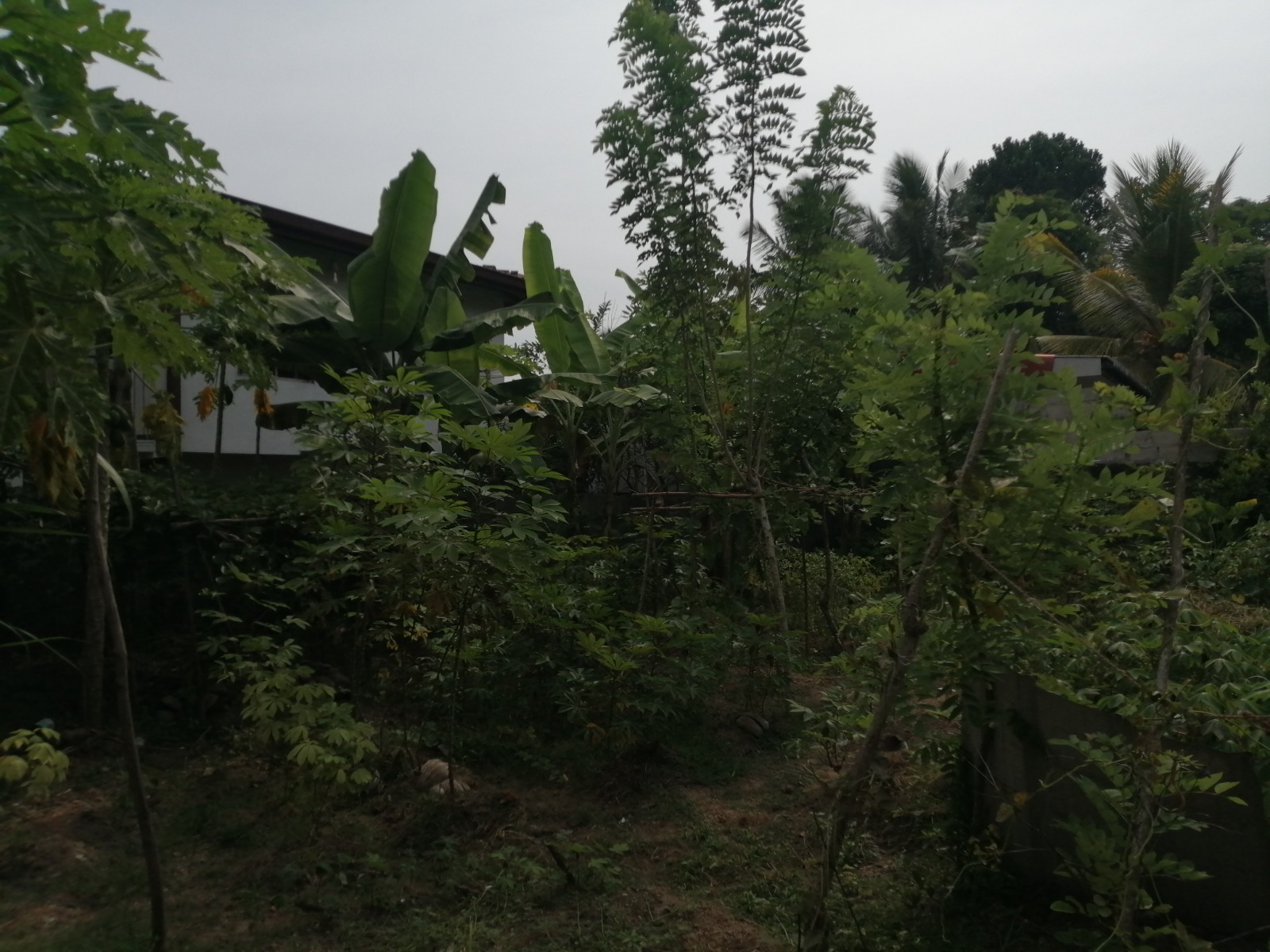 Land For Sale In Athurugiriya