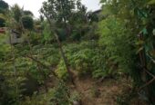 Land For Sale In Athurugiriya