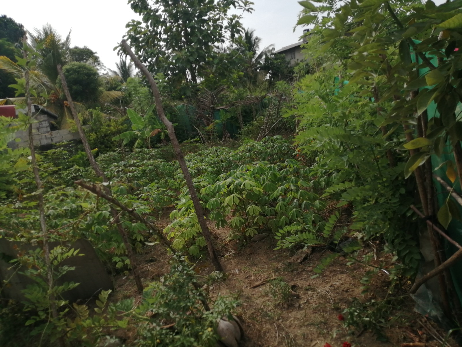 Land For Sale In Athurugiriya