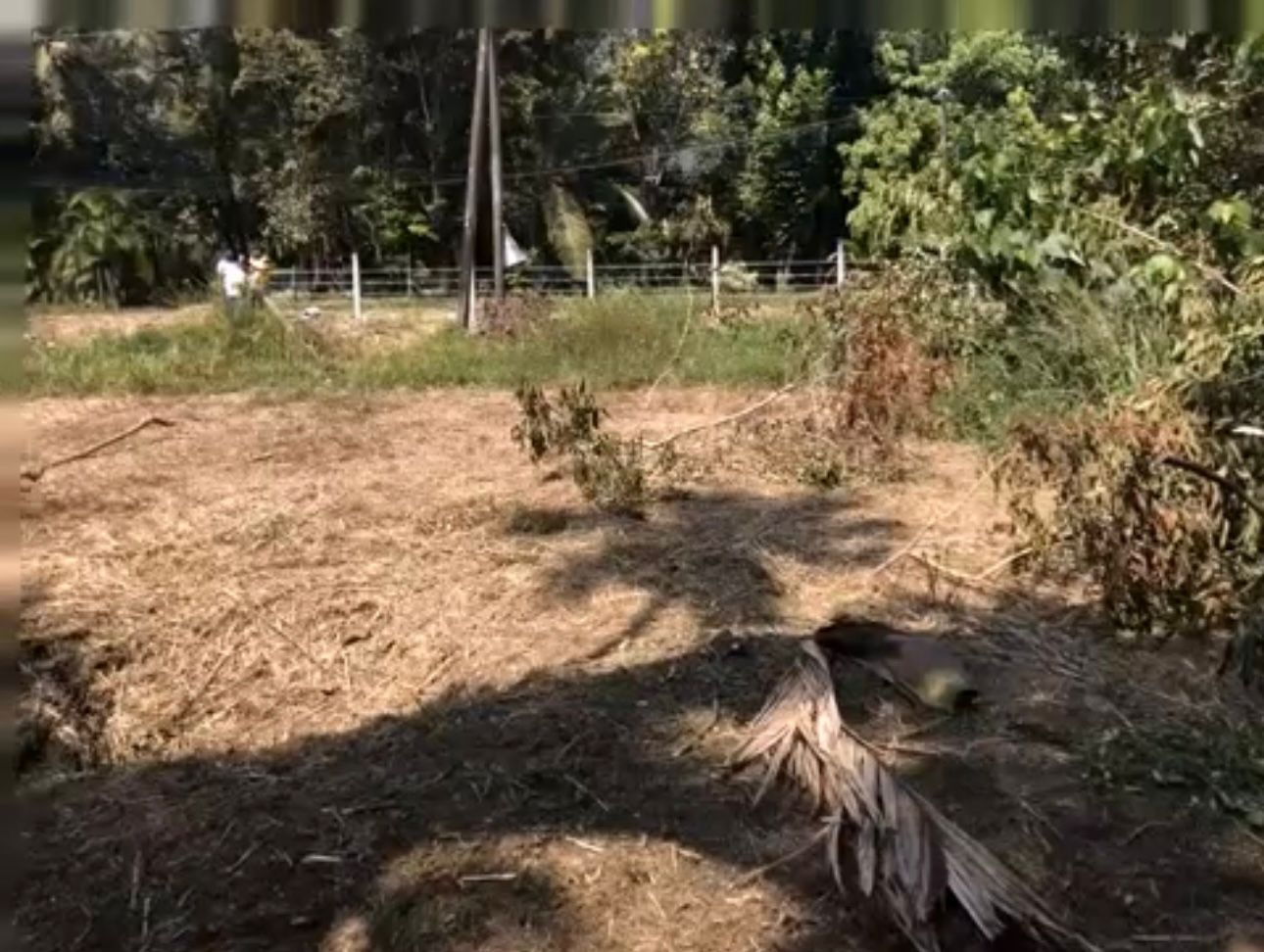 Yakkala Land for Sale