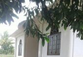 House For Sale In Balangoda