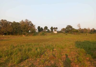 Land for Sale – Mahaoya
