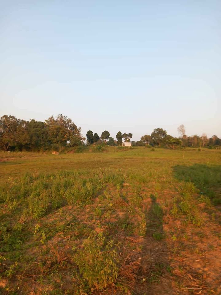 Land for Sale – Mahaoya