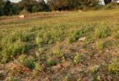 Land for Sale – Mahaoya