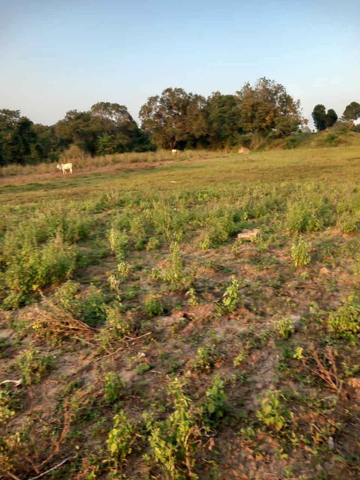 Land for Sale – Mahaoya