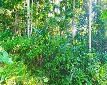 රත්නපුර නගරයට ඉතා ආසන්න අගනා බිම් කොටසක් විකිණීමට