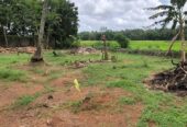 Facing Paddy Field Land for Sale in Udugampola