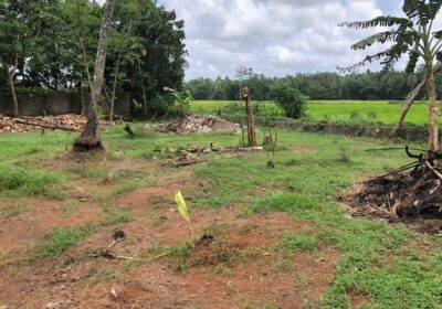 Facing Paddy Field Land for Sale in Udugampola