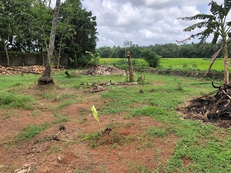Facing Paddy Field Land for Sale in Udugampola